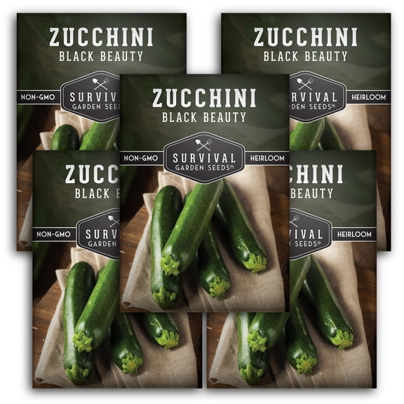 Black Beauty Zucchini Seeds - Heirloom Full Sun Annual Vegetable - 5 Packs