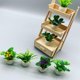 thumbnail image 4 of plantes En Pot Pour Maison De Poupe 4pz Dcorations De Pots De Fleurs Miniatures Dcorations De Conte De Fes Miniatures Maison De Poupe, Intrieur, B, 4 of 5