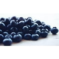 thumbnail image 4 of Kehar Foods Dried Blueberries - 200gm, 4 of 6