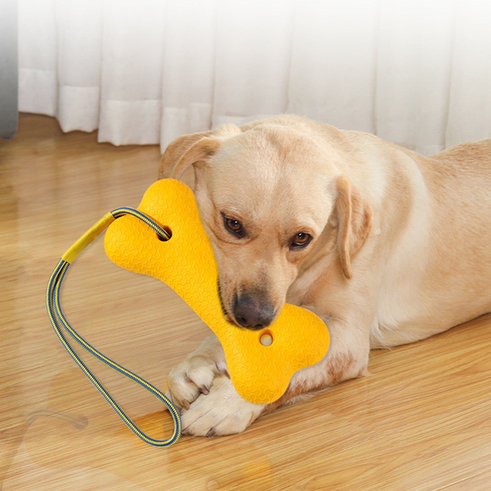 Should You Wash Dog Toys