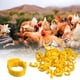 thumbnail image 4 of 100 anillos para patas de pollo, cierre de etiqueta de plástico ajustable para pollo, pato, ganso, 4 of 6