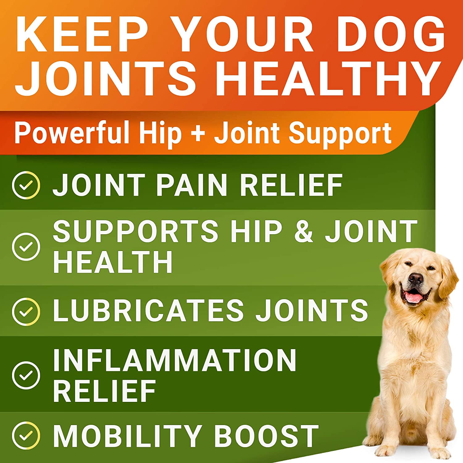 STRELLALAB Glucosamine Chews for Dogs - Hip and Joint Chews for Dogs with Chondroitin, MSM & Omega-3 Fish Oil - Dog Supplement for Joint Pain Relief - Advanced Mobility Chews - 240Ct - made in USA