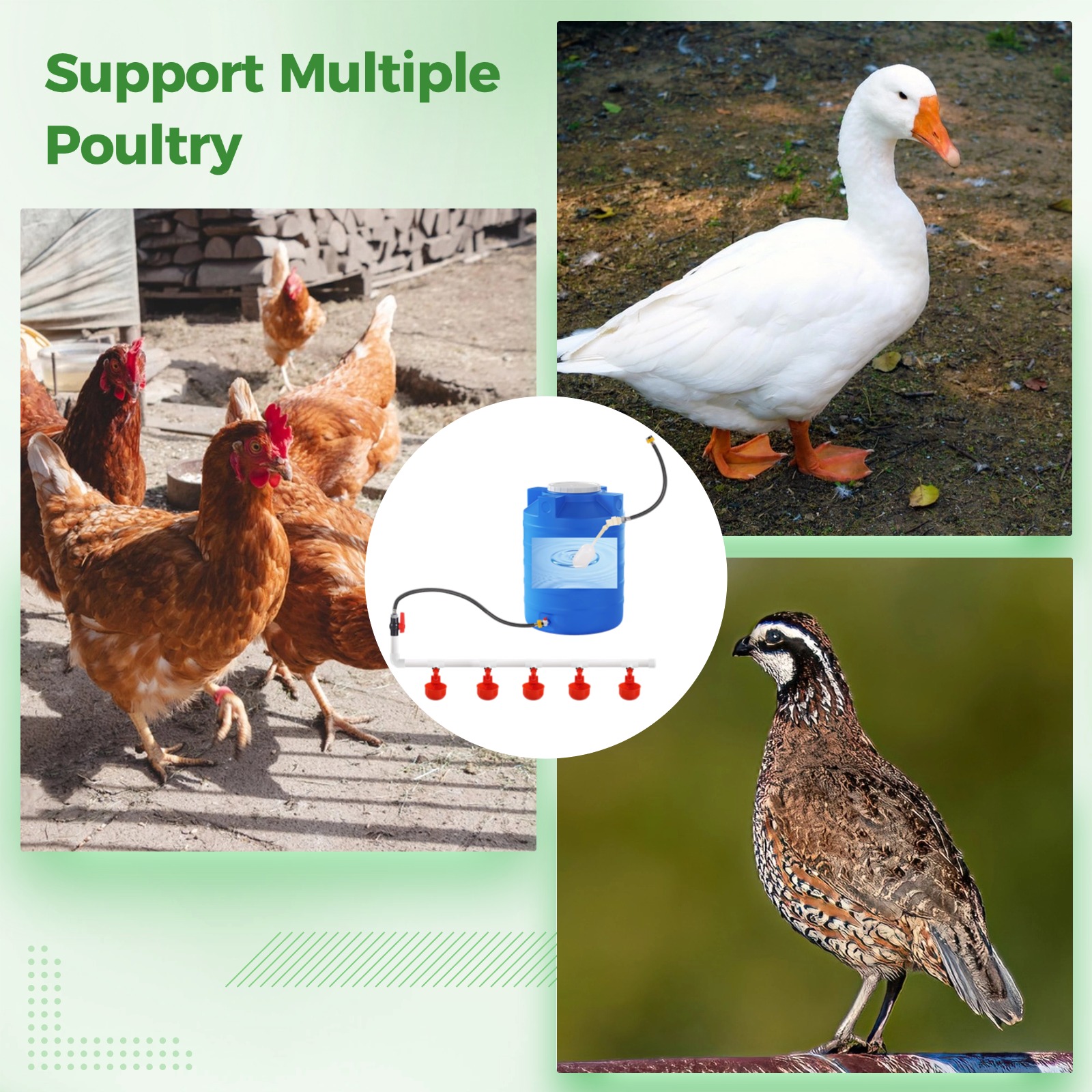 Automatic Chicken Waterer System, Complete Set, Automatic Chicken Watering Kit with PVC Pipes, Garden Hoses, Float Valve, Leak-Proof Poultry Water Cup System, Easy Installation