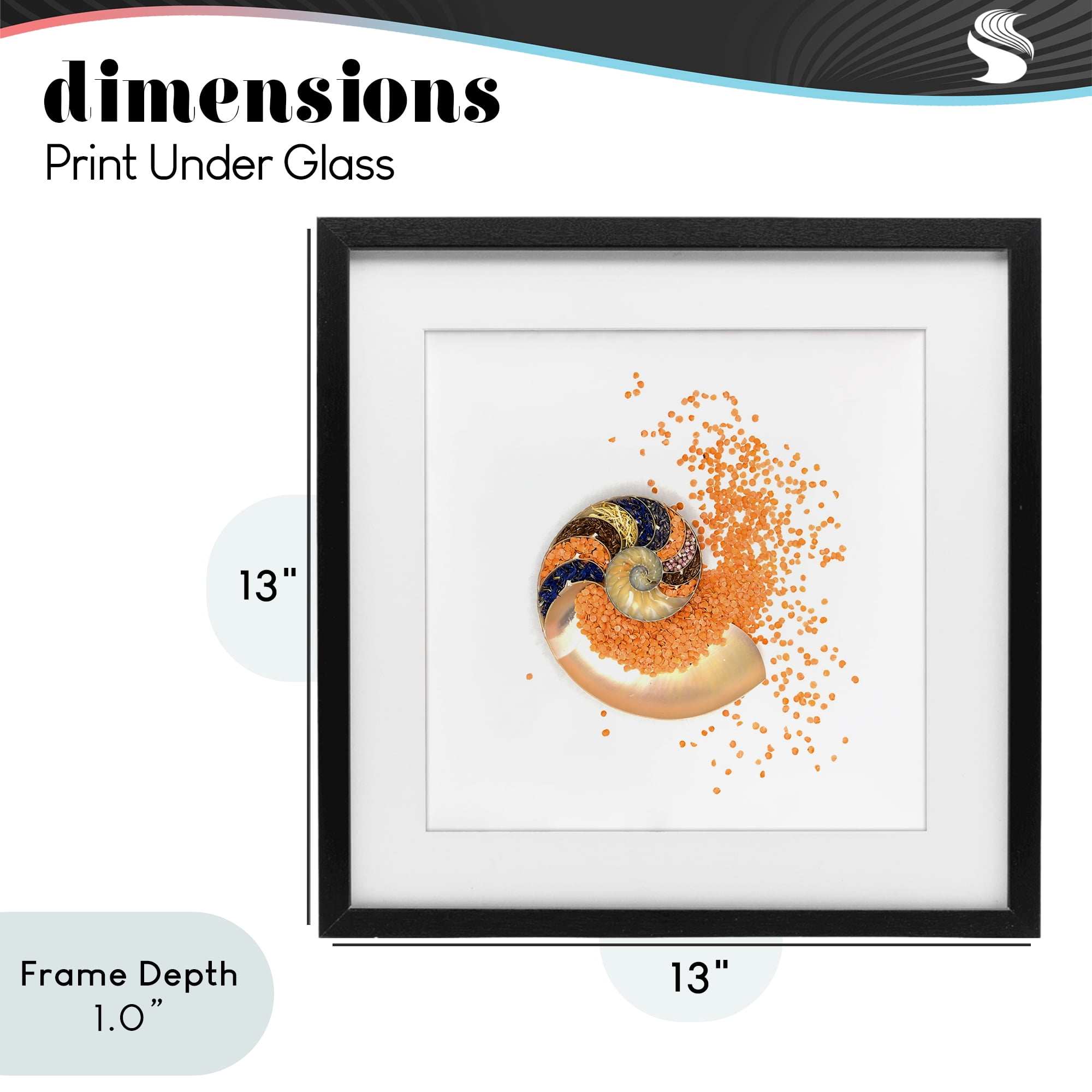 Stupell Industries Orange Nautilus Spiral Black Framed Print Under Glass, design by Beth Adoette