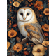 thumbnail image 1 of Qisvanset Framed Canvas Wall Art 12x16 Inch Mushroom Wildflower Barn Owl Woodland Art, 1 of 5