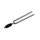 thumbnail image 1 of D'Addario Accessories DIAPASON MOD. PWTF-E, 1 of 5