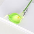 thumbnail image 6 of 1 Artificial Calla Lily for Home, Kitchen Or Wedding Table Decoration,1 Piece Artificial Calla Flowers for Home Kitchen Wedding Table Decoration, 6 of 9