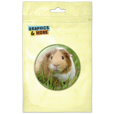 Guinea Pig Face Pinback Button Pin Badge