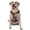 With Accessories, variant on Vsdgher Rainbow Cloud White Horse Pattern Dog Harness,No Pull Pet Harness with Soft Padded Handle,Adjustable Reflective Vest with 2 Buckles,4 Slide Buckles,S-XL Medium