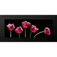 thumbnail image 2 of Seidman, Barry 24x11 Black Modern Framed Museum Art Print Titled - Five Tulips, 2 of 5