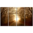 thumbnail image 5 of Design Art - Path to Sunlight in Autumn Forest, 5 of 5