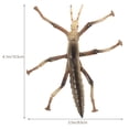 thumbnail image 2 of Miangastore 1Set Stick Insect Toy for Children with Educational Function in Coffee Color 10.5X9X1in Plastic, 2 of 8