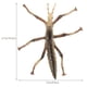 thumbnail image 2 of KAKOWELY Juguete de plástico con forma de insecto palo, divertido juguete para niños, juguete de aprendizaje para el hogar, suministros para niños, 2 of 4