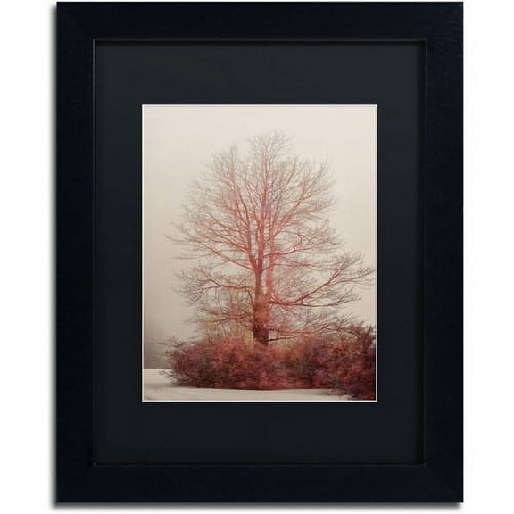 Trademark Fine Art "A-Blush in the Fog" Canvas Art by Lois Bryan, Black Mat, Black Frame