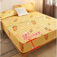 Air Permeable Cover Thick Quilted Mattress Cover Elastic Double Bed