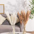 thumbnail image 5 of Juego de 30 flores secas de hierba Pampas TUNC decoración de plantas artificiales naturales Color mezclado, 5 of 5