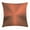 Bronze, variant on Forest Home Decor Throw Pillow Cushion Cover, Sun through Leaf Golden Color Vivid October Foliage Harvest Serene Paradise, Decorative Square Accent Pillow Case, 24 X 24 Inches, Orange, by Ambesonne