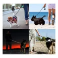 thumbnail image 2 of Correa Para Perro Entrenamiento 180cm Antireflectiva Verde, 2 of 4