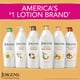 thumbnail image 4 of Jergens Shea Butter Deep Conditioning Moisturizer, 26.5 Ounces (Packaging May Vary), 4 of 8