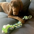 thumbnail image 3 of Dogit Knotted Rope Dog Toy, Multi-Coloured 3-Knot Looped Tug, 71 cm (28in), 3 of 5