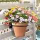 thumbnail image 4 of SHOWERORO 2Ud Soporte De Pared Para Plantas En Hierro Negro Con Artesanía Duradera Y, 4 of 8