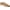 Caramel, variant on Capezio Freeform Ballet Shoe