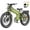 A9 ProMax 60V70AH Green, variant on ANIIOKI A9 Pro Max Dual Motor Electric Bike for Adults,60V 80Ah,26"x4.8" All-Terrain Tires,6000W Peak,IP65 Waterproof,LED Lights