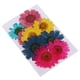 thumbnail image 4 of Variedad de Hojas Secas Naturales Prensadas Soledad para La Fabricación de La Tarjeta de Los Artes de DIY Arts Crisantemo, 4 of 10