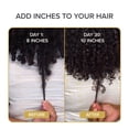 thumbnail image 5 of Iconic Hair + Scalp Growth Elixir Oil, 5 of 8
