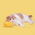 thumbnail image 3 of Creative Durable Pet Plush Cheese Toy For Cat Training And Playing, 3 of 6