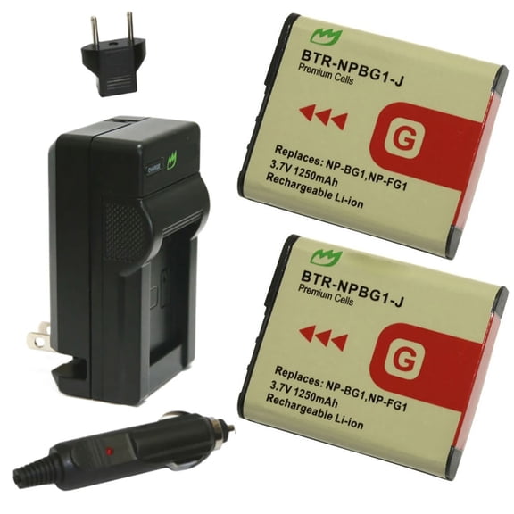 Replacement for Sony Cyber-shot DSC-W170 Battery (2-Pack, 1250mAh) and Charger with Car Adapter
