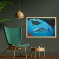 thumbnail image 2 of Shark Wall Art with Frame, Mammal Deep Water Stingray Coral Reefs Algae Rocky Cave Exotic Cartoon Style Art, Printed Fabric Poster for Bathroom Living Room, 35" x 23", Blue Grey, by Ambesonne, 2 of 2