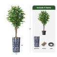 thumbnail image 3 of Artificial Tree in Modern Pattern Planter, Fake Ficus Silk Tree for Indoor and Outdoor Home Decoration - 75" Overall Tall (Plant Pot Plus Tree), 3 of 5