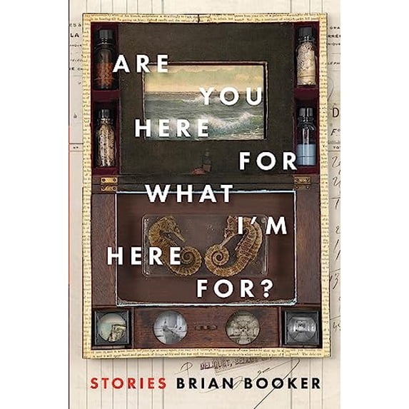 Pre-Owned Are You Here for What I'm Here For? (Paperback) 1942658125 9781942658122