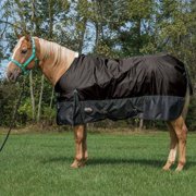 Weaver Leather Economy Turnout Blanket – 1200D Waterproof 300g Black / 600D / 81