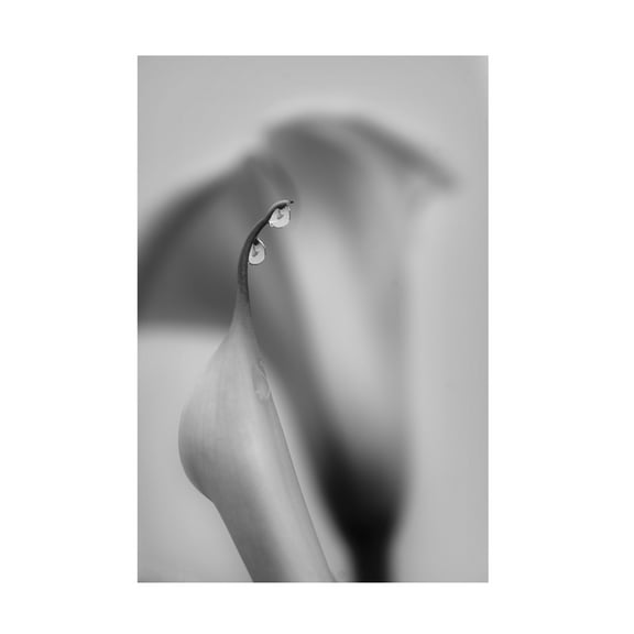 Trademark Fine Art Simon ChengLu Two Drops Canvas Wall Art