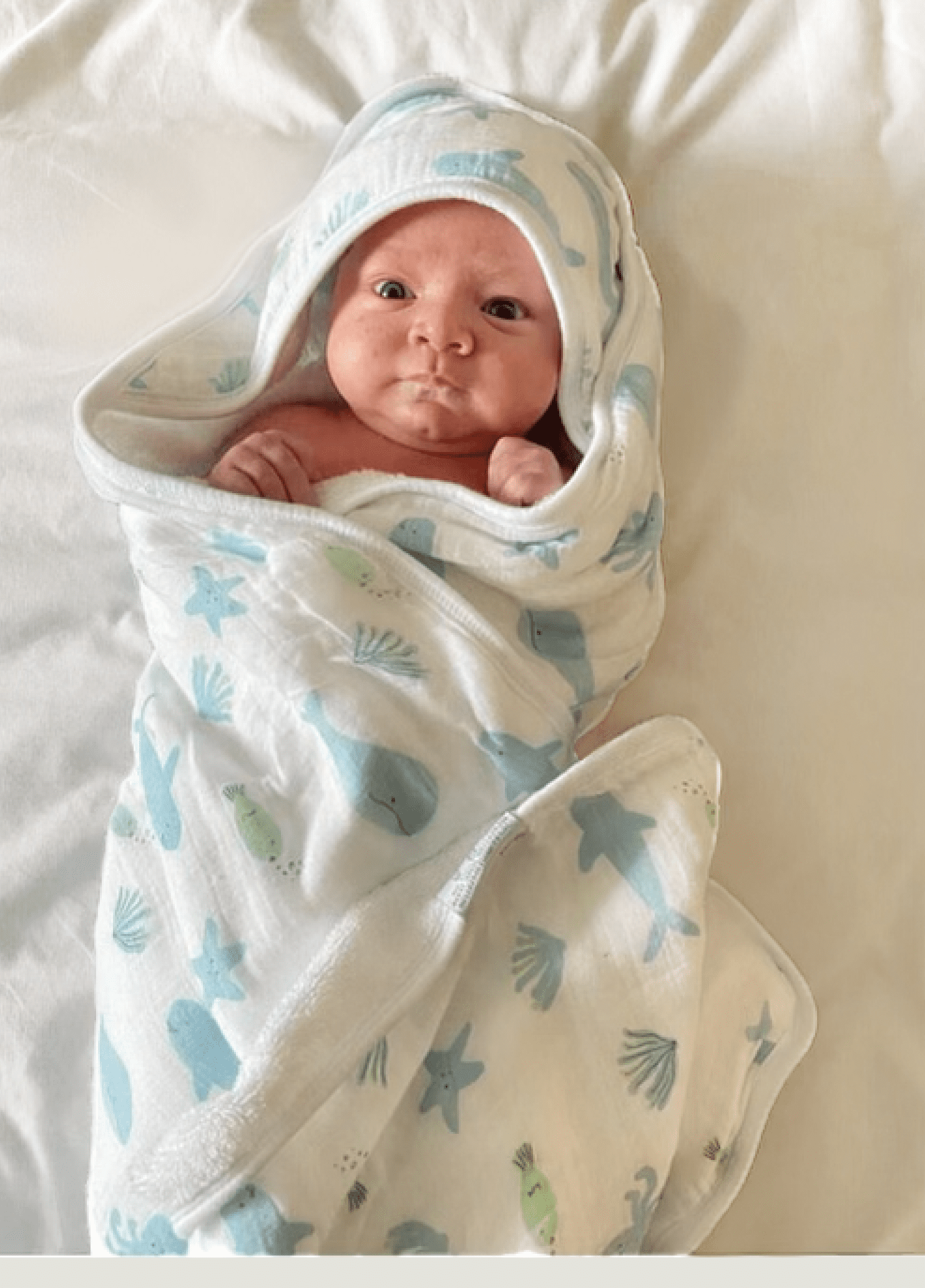 Bundled Baby, Oversized Baby Hooded Towel, Made out of Bamboo Muslin, Under the Sea, Ocean Baby Bath