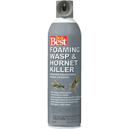 Do it Best Foaming Wasp & Hornet Killer (Best Thing For Wasp Sting)
