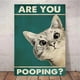 thumbnail image 4 of ¿Estás haciendo caca? Pósteres para el baño, letreros divertidos para el baño, impresiones en lienzo, lindos cuadros de gato negro para pintar en la pared, decoración del baño, 4 of 5