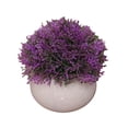 thumbnail image 1 of Bola de hierba artificial en maceta, simulación de hierba, decoración de plantas, decoración de la mesa de la oficina en casa, hierba tipo 4, morado Advancent HA7593-10B, 1 of 6