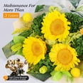 thumbnail image 4 of Bouquet de girasoles preservados Hanameguri Forever Flowers, 4 of 8