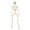 White, variant on Bfogop Halloween Skeleton with Light - 16" Skeletons with Full Body Movable Joints, Indoor and Outdoor Spooky Décor for Halloween Parties, Haunted Houses, and Yard Decorations