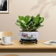 thumbnail image 5 of Cuenco de flores hidropónico de cerámica, maceta de estilo chino con soporte, cuenco de agua interior al aire libre para plantas bonsái, maceta de jardín decorativa para el hogar de la oficina, 5 of 6