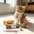 thumbnail image 6 of FEOLGEHLY Catnip Toy Set for Indoor Cats, Silvervine Cat Toy with Chew Sticks Fish Ball Mouse Feather, Cat Teething Toy Boredom Relief Chew-Proof Cat Chew Toy for Kittens (Brown A), 6 of 7