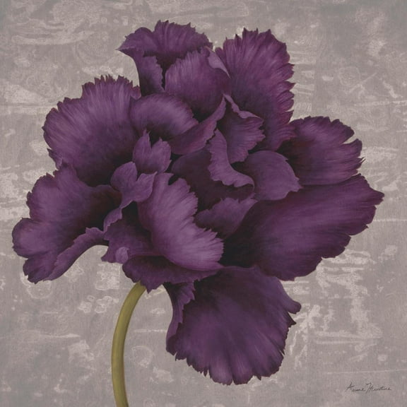 Art.com Black Plum 1 Art Print by Ariane Martine, 24" x 24"