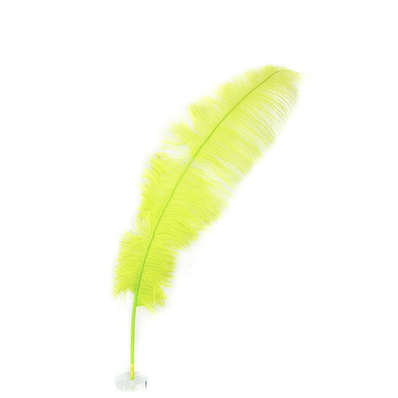 18-24" (46-61 cm) 1/4 lb Natural Lime Green Feather Wedding Centerpiece Decor - Spads