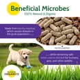 thumbnail image 5 of St. Gabriel Organics Milky Spore Powder Japanese Beetle Grub Control, 10 Oz, 5 of 6