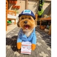 thumbnail image 1 of Disfraz de portador de correo para perros USPS, divertido mensajero transformado en mascota, perro, gato, perro mediano y grande, suministros de decoración para el día de Halloween, ropa (1 paquete, S, 1 of 5