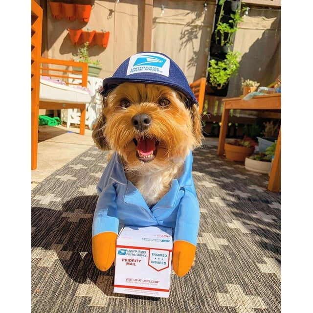 Disfraz de portador de correo para perros USPS, divertido mensajero transformado en mascota, perro, gato, perro mediano y grande, suministros de decoración para el día de Halloween, ropa (1 paquete, S