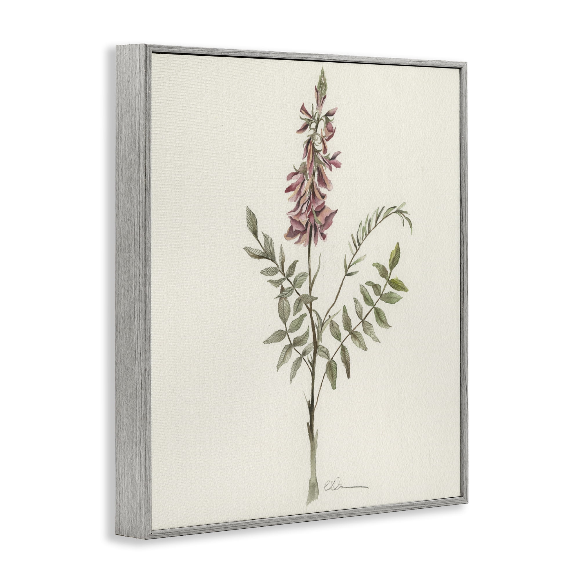 Stupell Industries Nature's Delicate Herb Sprig Gray Framed Giclee Art, design by Cady Driver